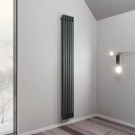 Радиатор 1800 2-трубный 6-сек. (графит) ALIVENTO2 Faberg 