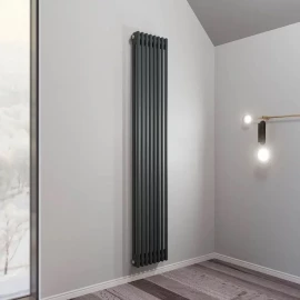 Радиатор 2-трубный 1800 8-сек. (графит) ALIVENTO2 Faberg 