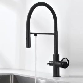 Смеситель 2 в 1 (черный) Ganzer 19127-C