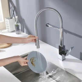 Смеситель с гибким изливом Ganzer 05126